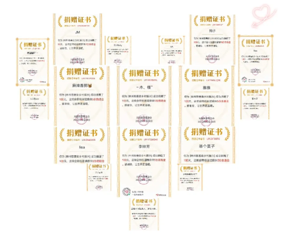 匯聚慈善力量 ，助力鄉(xiāng)村振興—9·9公益日，中縱在行動